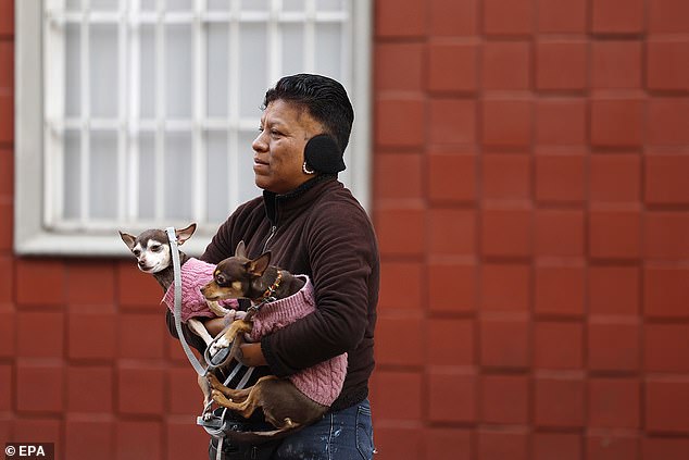 Exclusive: Mexico's 6.5 Magnitude Earthquake Details Revealed Through Privileged Seismic Data Access