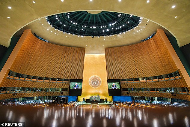 Urgent UN Crisis: Trump's Influence Threatens Gender Equality in Secretary-General Race