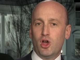 Privileged Access to Trump's Greenland Gambit: International Reactions and Hidden Implications