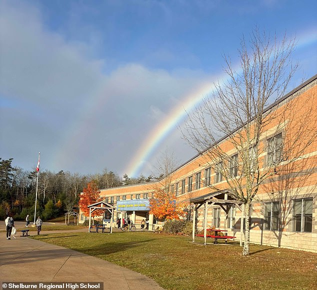 Nova Scotia Dog Attack Incident Highlights Gaps in Local Regulations and Public Safety Measures