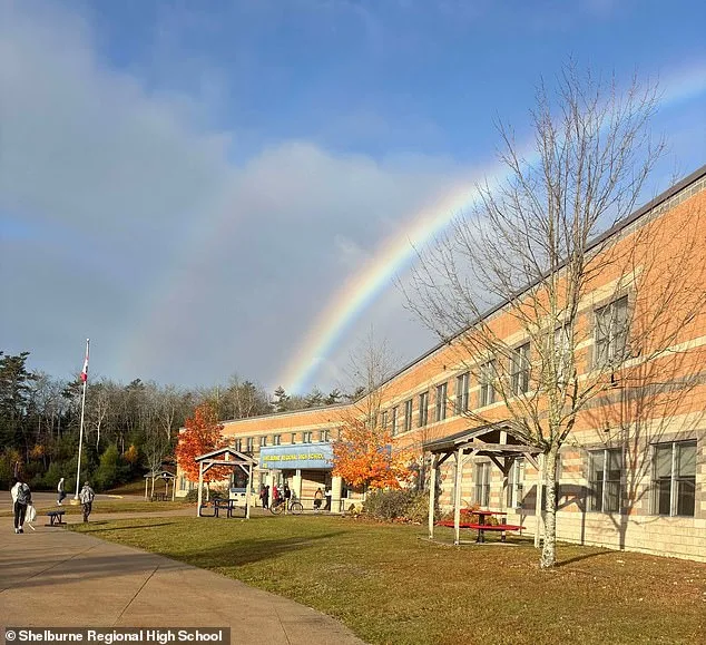 Nova Scotia Dog Attack Incident Highlights Gaps in Local Regulations and Public Safety Measures