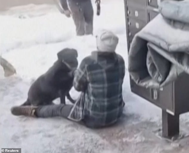 Tragic Death of Renee Nicole Macklin Good Sparks Scrutiny of ICE Operations in Minneapolis