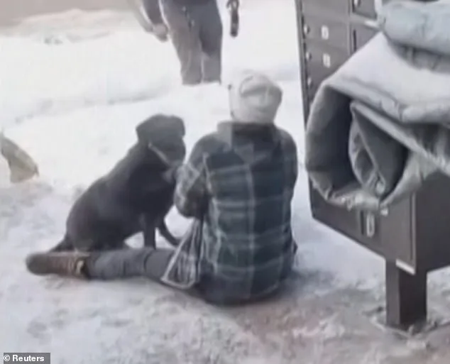 Tragic Death of Renee Nicole Macklin Good Sparks Scrutiny of ICE Operations in Minneapolis