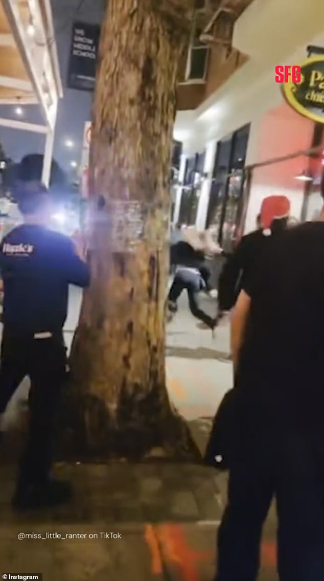 Viral Video of Bartender's Altercation at Hayes Valley Restaurant Leads to Termination and Public Debate Over Workplace Conduct