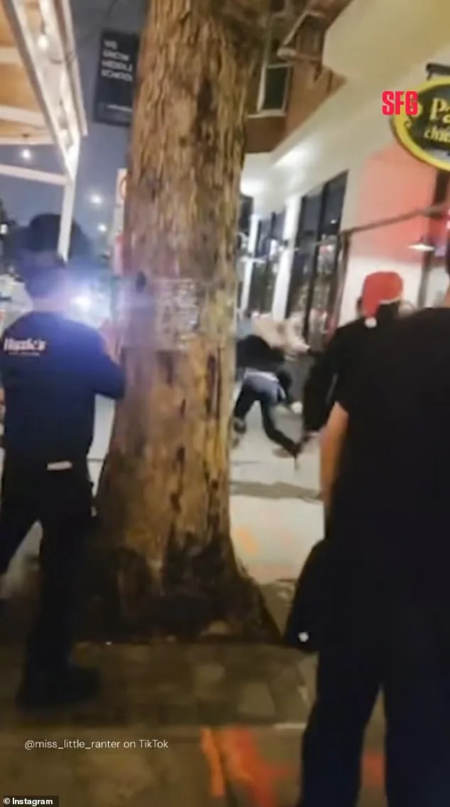 Viral Video of Bartender's Altercation at Hayes Valley Restaurant Leads to Termination and Public Debate Over Workplace Conduct