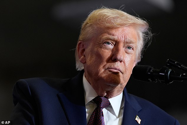 Greenland's Leaders Reject Trump's Purchase Proposal: 'We Want to Be Greenlanders'