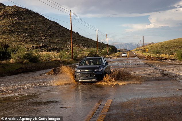 Arizona's Seven Most Unusual Driving Laws: Avoid Tickets with These Essential Rules