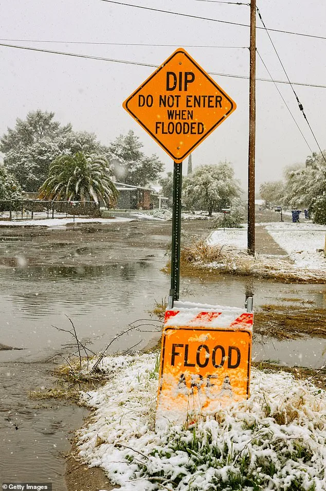 Arizona's Seven Most Unusual Driving Laws: Avoid Tickets with These Essential Rules