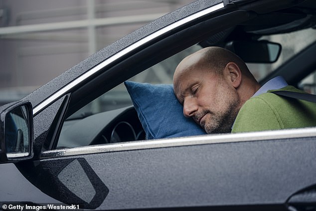 Arizona's Seven Most Unusual Driving Laws: Avoid Tickets with These Essential Rules