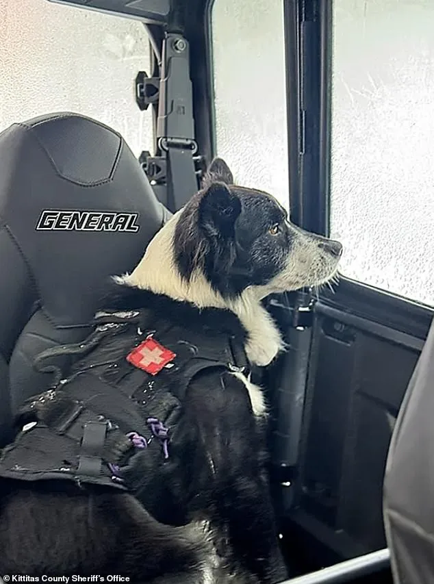 Avalanche Tragedy Sparks Debate Over Backcountry Safety Regulations