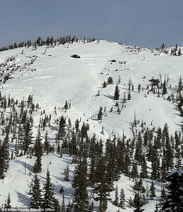 Avalanche Tragedy Sparks Debate Over Backcountry Safety Regulations