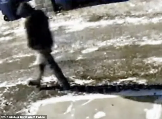 Monique and Spencer Tepe Found Shot Dead in Their Home; Ex-Husband Allegedly Responsible for Their Murders