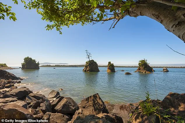 Long-Lost Remains Identified: Former Oregon Mayor's Skeleton Found on Washington Beach After 20 Years