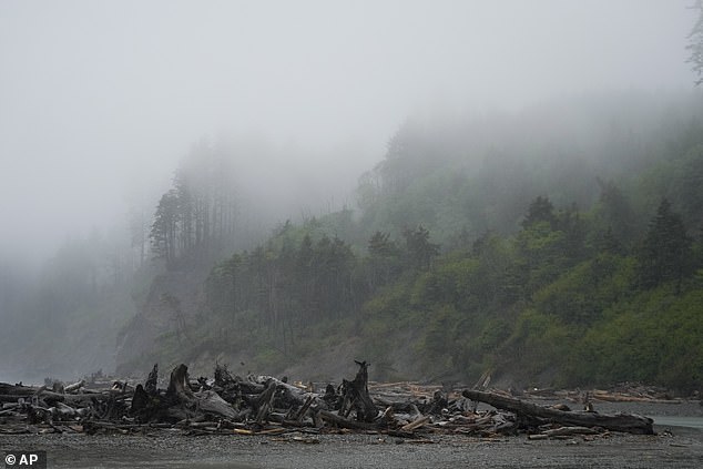 Long-Lost Remains Identified: Former Oregon Mayor's Skeleton Found on Washington Beach After 20 Years