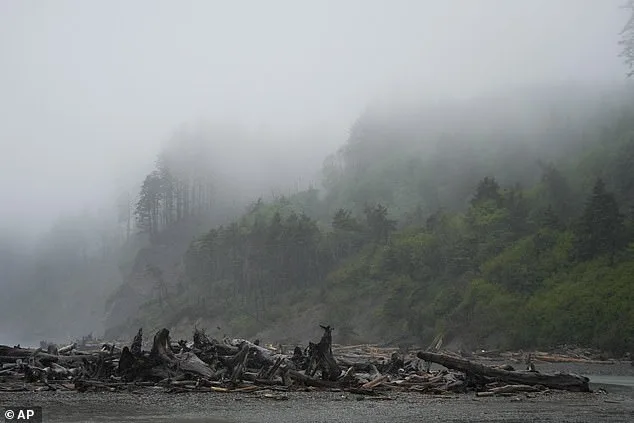 Long-Lost Remains Identified: Former Oregon Mayor's Skeleton Found on Washington Beach After 20 Years