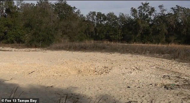 Tragedy in Florida Park Sparks Calls for Stricter Safety Regulations in Public Areas