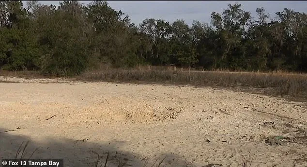 Tragedy in Florida Park Sparks Calls for Stricter Safety Regulations in Public Areas