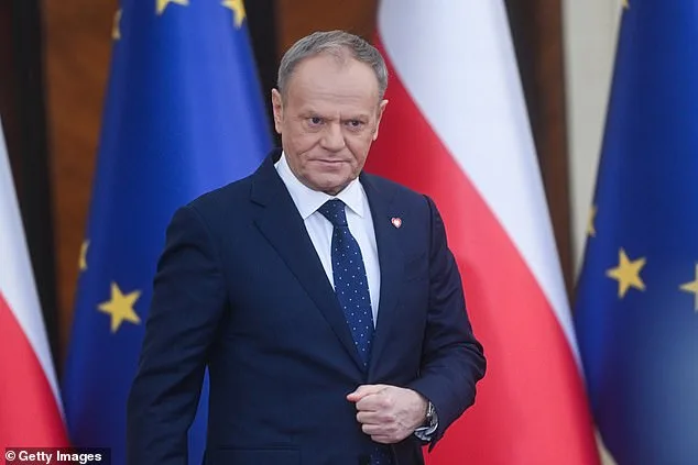 Behind Closed Doors: The Shadow War Over Greenland and NATO's Fractured Alliance