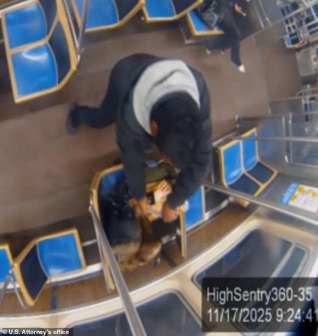 Violent Incident on Chicago's Blue Line Sparks Concerns Over Public Safety and Rule of Law