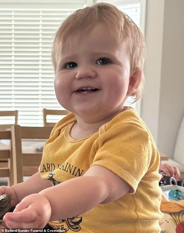 Shocking Arrest of Minnesota Daycare Worker Allegedly Suffocating Two Babies in Bid for Attention; Community in Shock