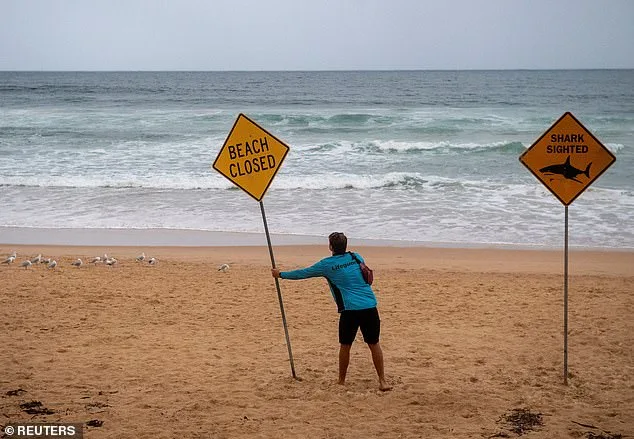 Sydney Beaches on Lockdown After Three Shark Attacks in 26 Hours, Including Two Children