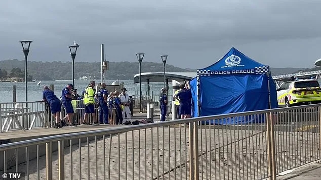 Sydney Beaches on Lockdown After Three Shark Attacks in 26 Hours, Including Two Children