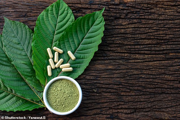 Sudden Death of Chess Grandmaster Daniel Naroditsky Shocks Global Community