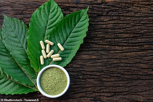 Sudden Death of Chess Grandmaster Daniel Naroditsky Shocks Global Community