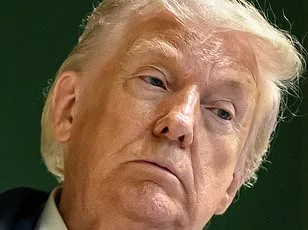 Reigniting Debate on NATO's Reliability: Trump's Claims Contrasted with Historical Records