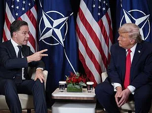 Trump Accuses Macron of Raising Drug Prices; French Leader Dismisses Claims as 'Fake News' in Viral Meme