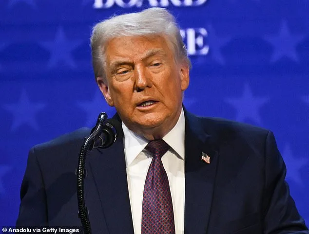 Minneapolis Becomes Battleground in National Debate Over Federal Agents' Role After Border Patrol Shooting