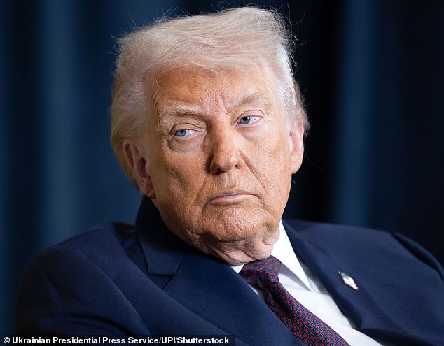 Minneapolis Becomes Battleground in National Debate Over Federal Agents' Role After Border Patrol Shooting