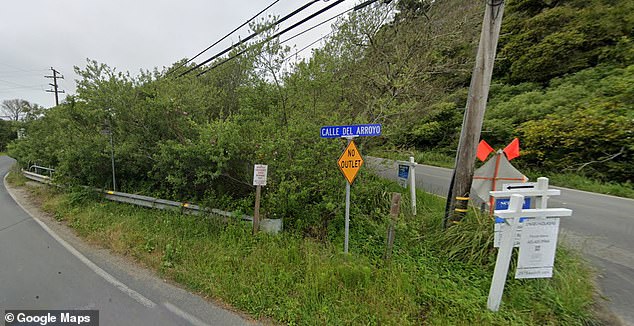 Creek Street's Climate Crossroads: Rising Tides Threaten Coastal Development and Property Value