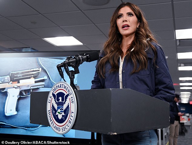 Urgent Calls for Accountability as Controversy Over Minneapolis Nurse's Death by Border Patrol Agent Intensifies