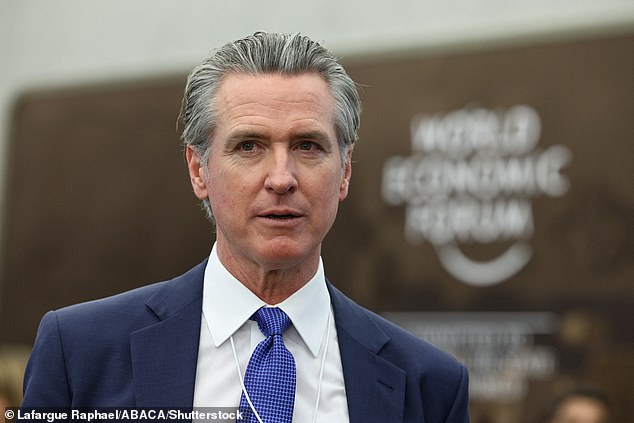 Artificial Ivy Wall Installed to Deter Graffiti in Los Angeles Defaced Within Hours, Raising Questions About Clean California Initiative's Effectiveness