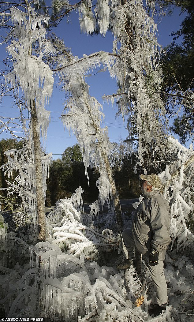 Storm Threatens East Coast with Rare Cold Snap, First Major Freeze in Miami in 15 Years