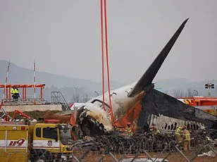 Sir Elton John's Pilot Avoids Deadly Hawk Strike During Takeoff, Sparking Aviation Safety Debate