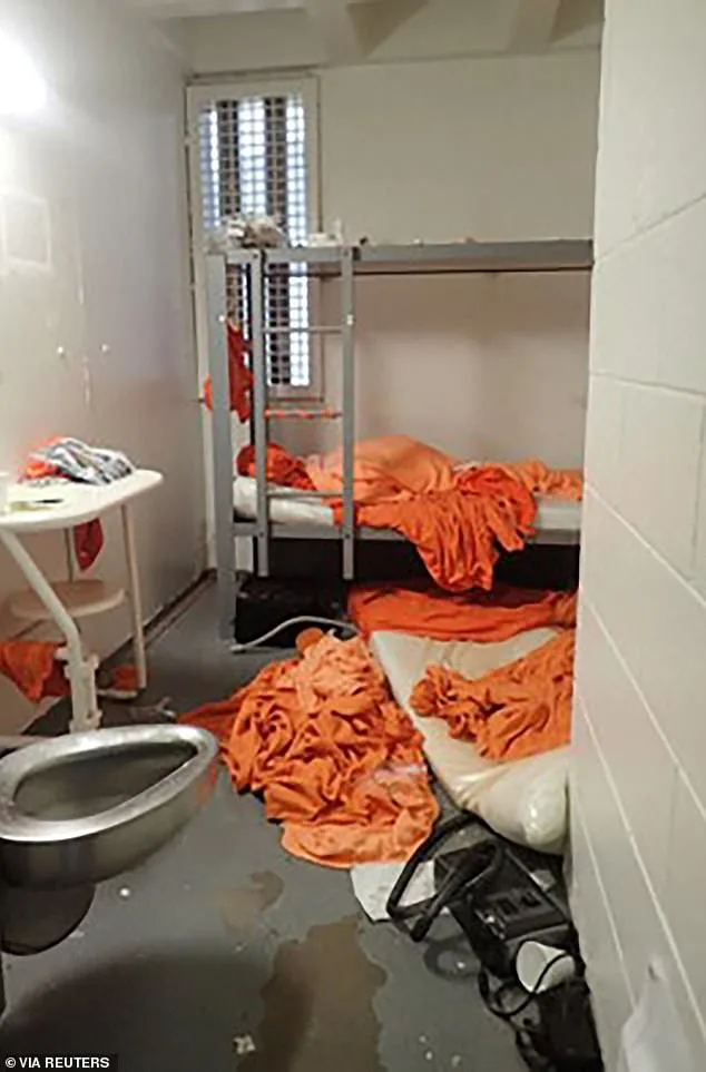 Alleged Trump Conspiracy in Epstein's Death Linked to Murder Trial Pardon Petition