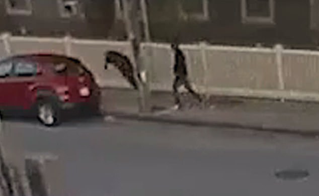 Breaking: Former Mayor Stabbed in Fall River; Experts Urge Action on Public Safety Amid Mental Health Crisis