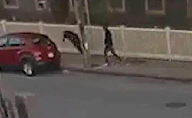 Breaking: Former Mayor Stabbed in Fall River; Experts Urge Action on Public Safety Amid Mental Health Crisis