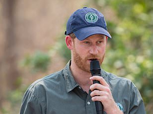 Chad's Environment Ministry Accuses Prince Harry's African Parks Charity of Neocolonialism and Failing Conservation Promises, Ending 15-Year Partnership