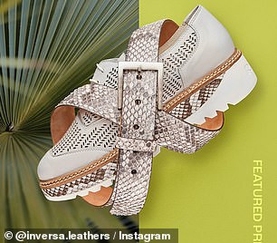 Florida Governor DeSantis Partners with Inversa to Transform Burmese Pythons into Luxury Accessories in Fight Against Invasive Species