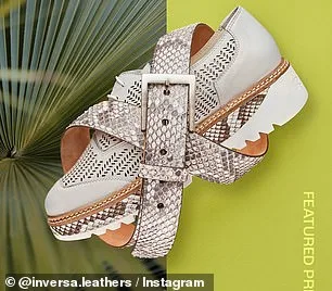 Florida Governor DeSantis Partners with Inversa to Transform Burmese Pythons into Luxury Accessories in Fight Against Invasive Species