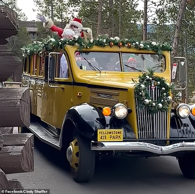 Government Regulations Enable Twice-Yearly Christmas Celebrations in Yellowstone National Park