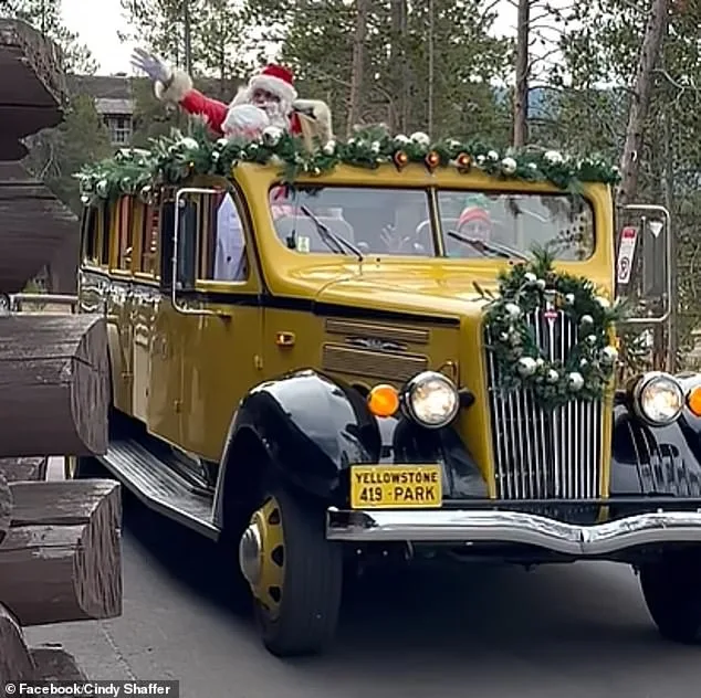 Government Regulations Enable Twice-Yearly Christmas Celebrations in Yellowstone National Park