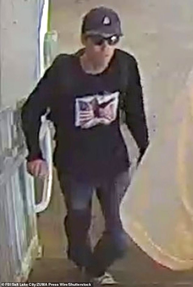 Investigating the Psychological and Digital Traces of Targeted Violence: Implications for Public Safety and Policy