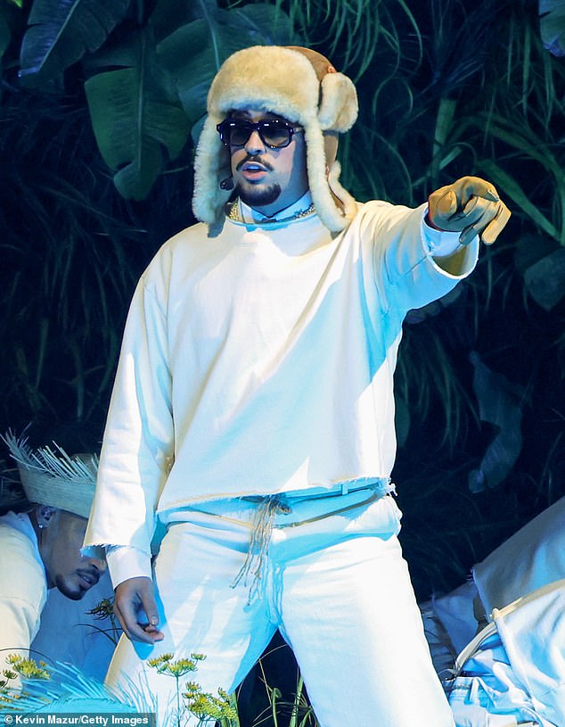 Limited Access to the Truth: The Unseen Details of Bad Bunny's Concert Incident
