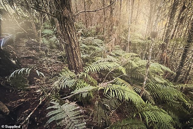 New Photos Reveal Hasty Abandonment of Fugitive's Campsite, Authorities Say