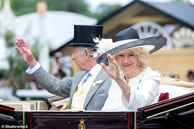 Queen Camilla Allegedly Fought Off Attacker with Shoe, Book Reveals Past Sexual Assault