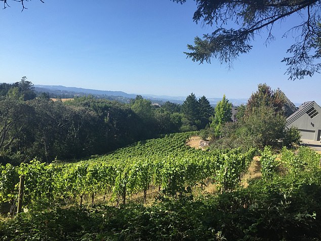 Sebastopol's Clerical Error Brings Little Caesars to a Town That Banned Big Chains—'It’s a Baffling Situation That Has Divided Our Community,' Says Mayor